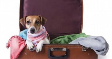 Pets and trips