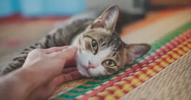 Do cats tickle